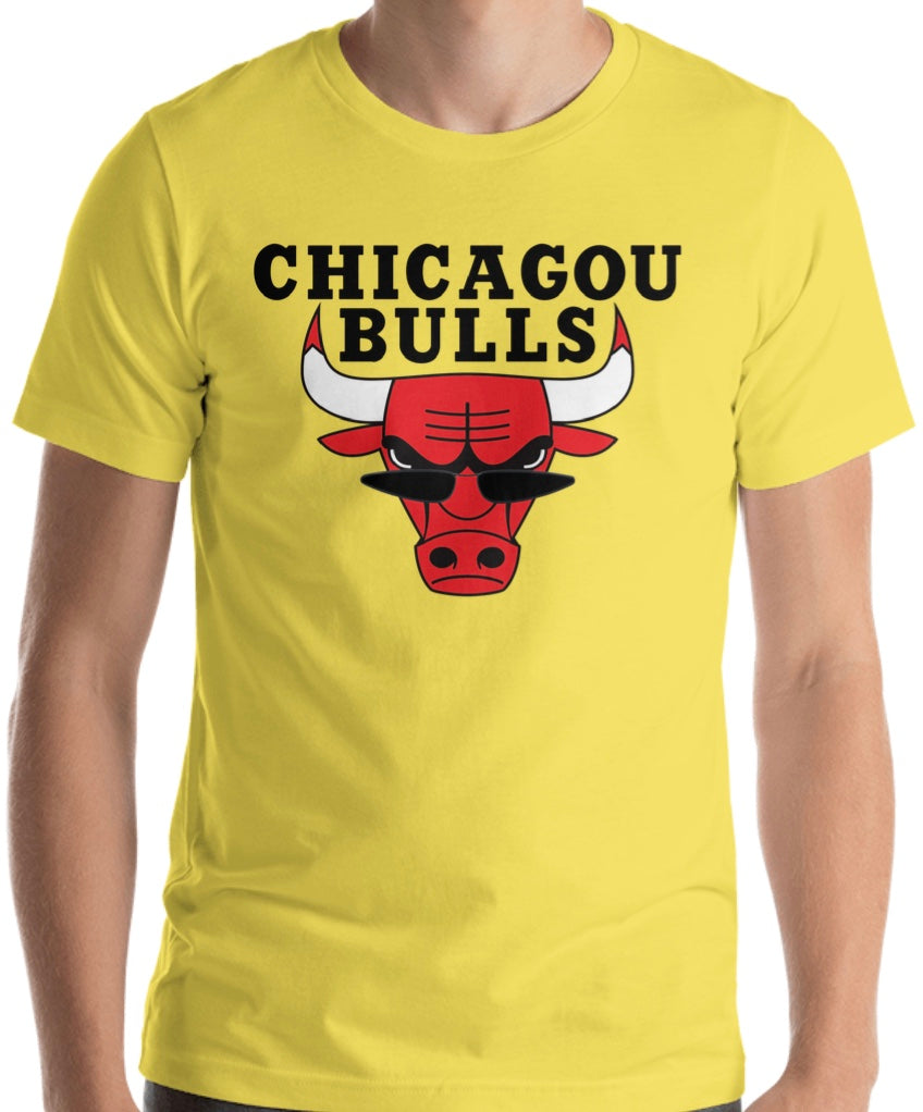 CHICAGOU BULLS (limited edition)
